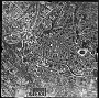 1944 aerea Padova